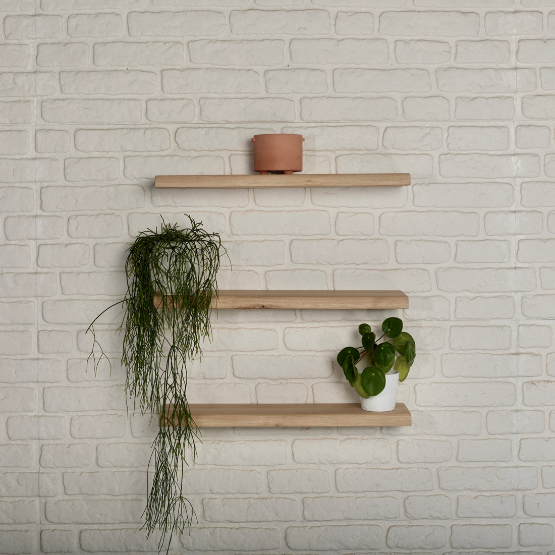 Oak Floating Shelves - oak guys - clay pot - green plants