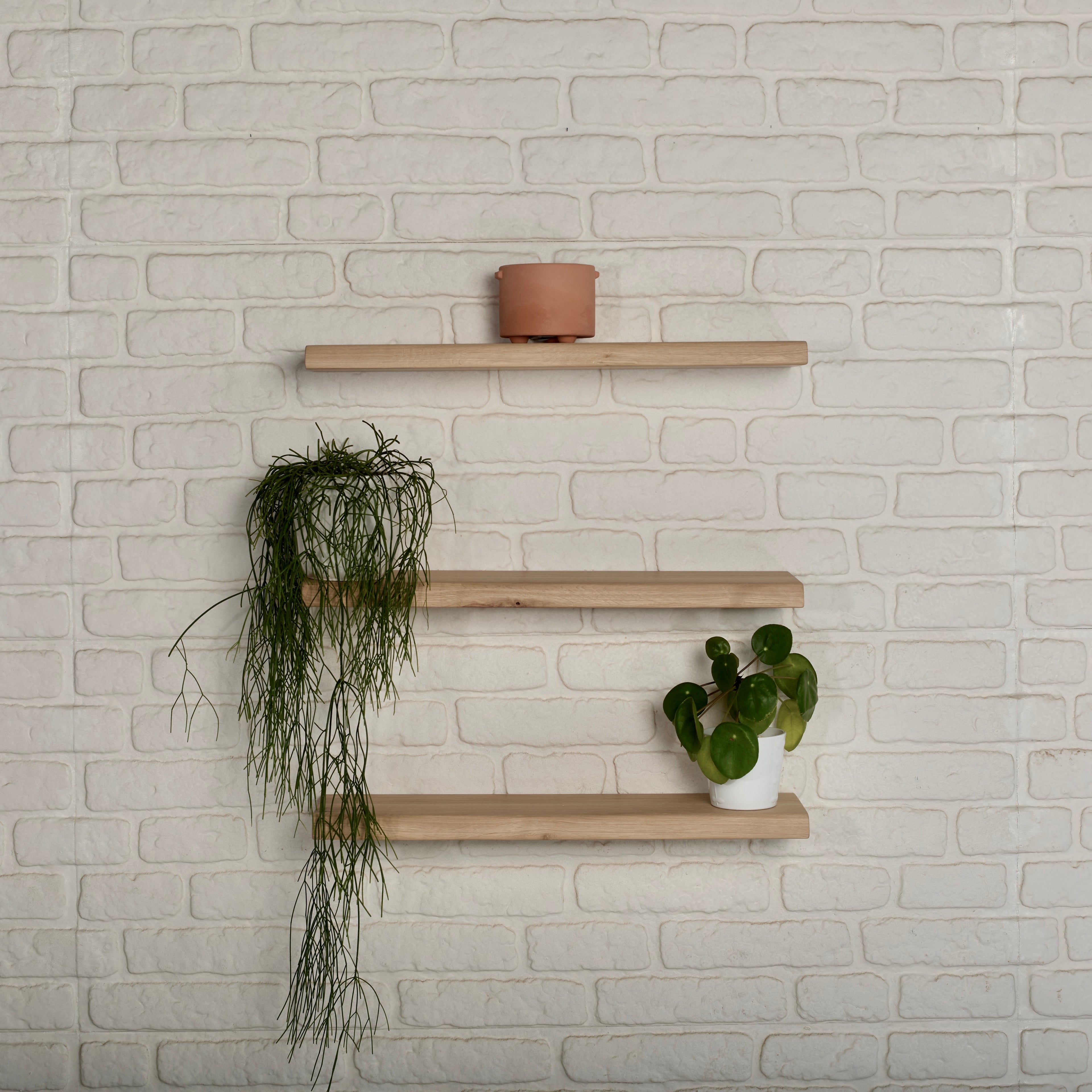 Oak Floating Shelves - oak guys - clay pot - green plants