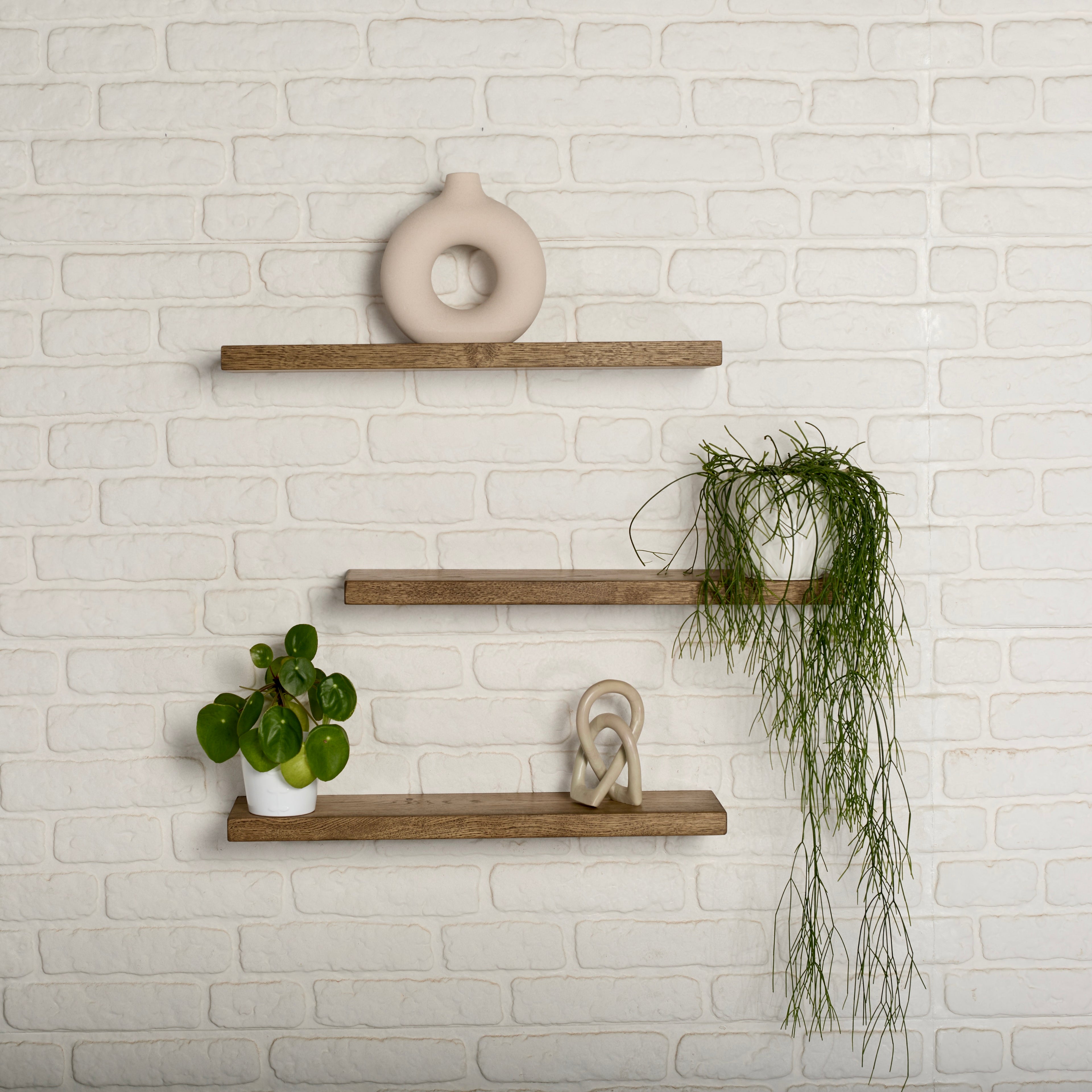 Oak Floating Shelf rustic with green plants