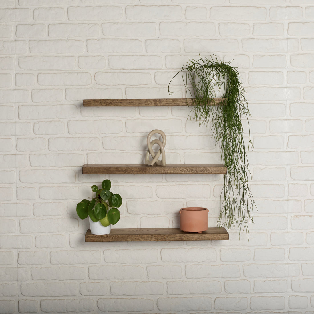 Oak Floating Shelf rustic - green plant