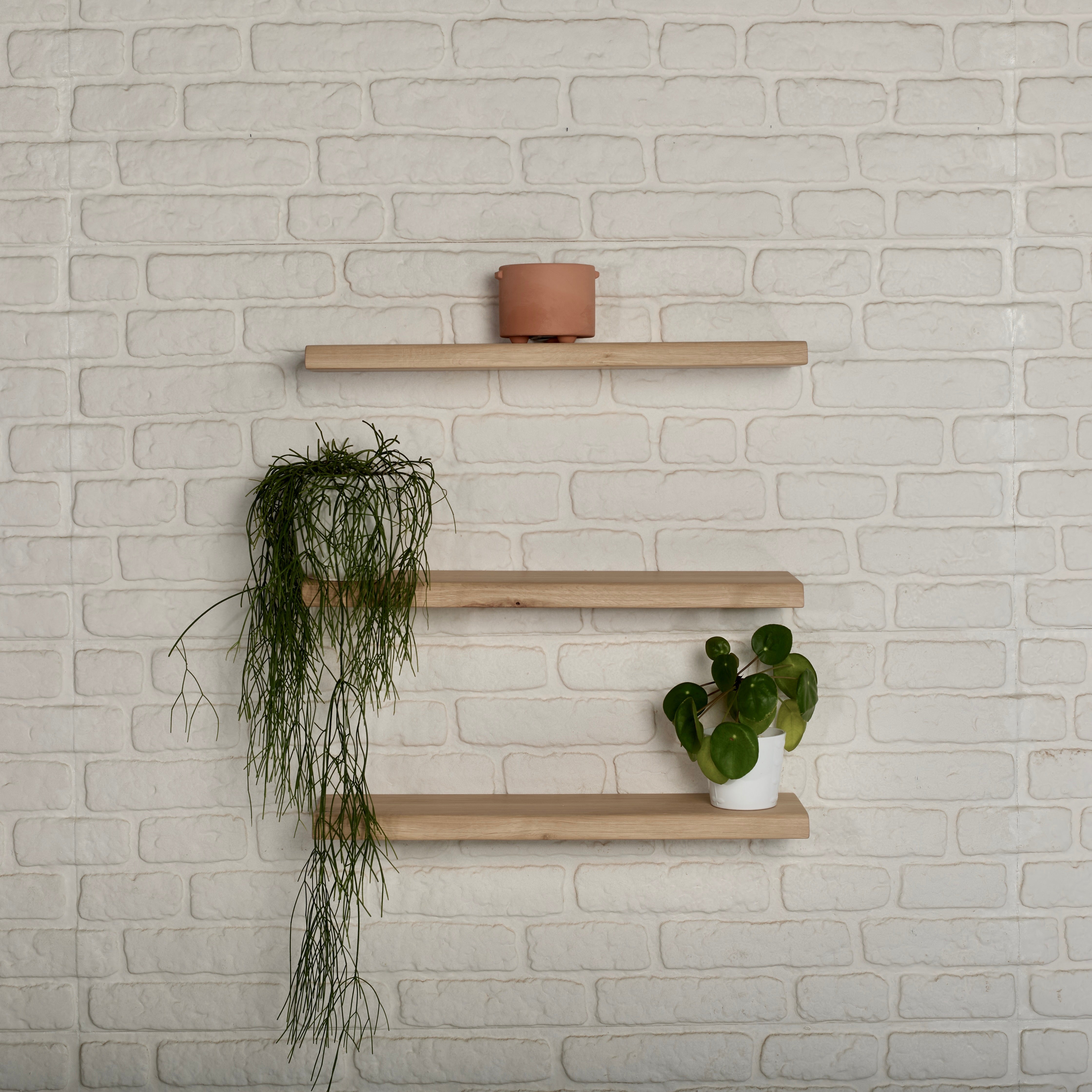 Shelves – Oakguys