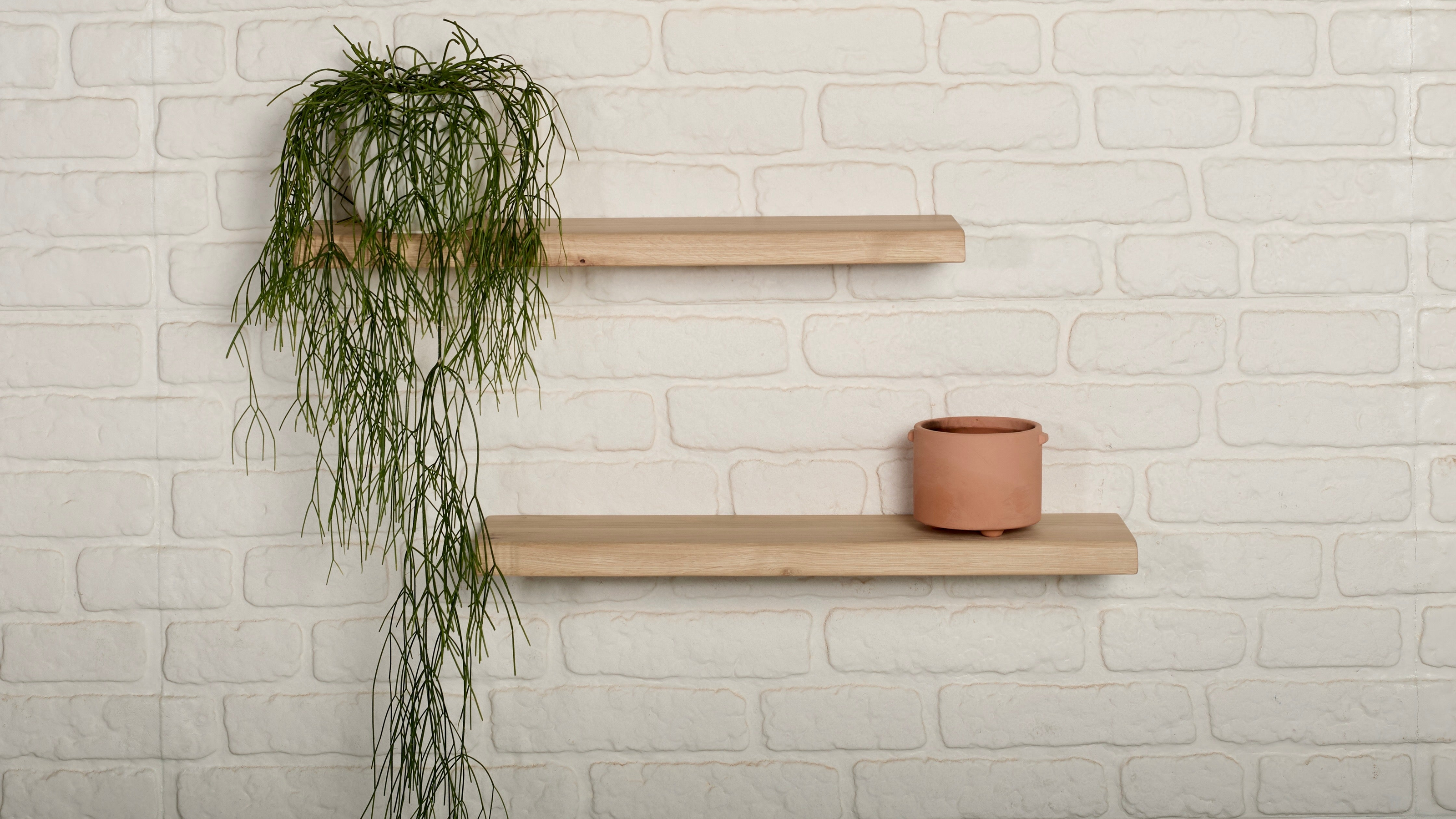solid oak floating shelf - green plant - clay pot