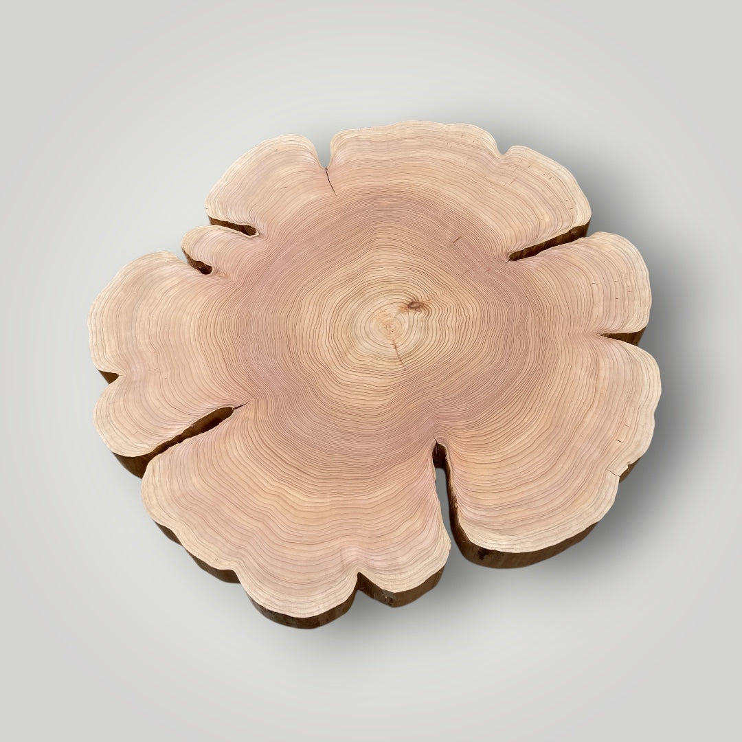 Wooden coaster with tree ring design on a gray background