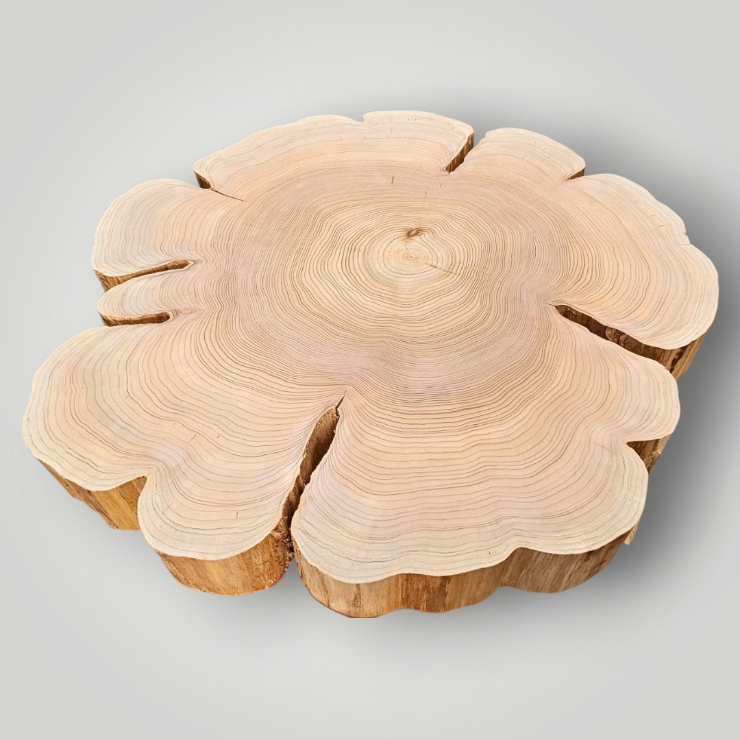 Wooden log with circular cutout on a gray background